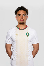 El Aynaoui #24