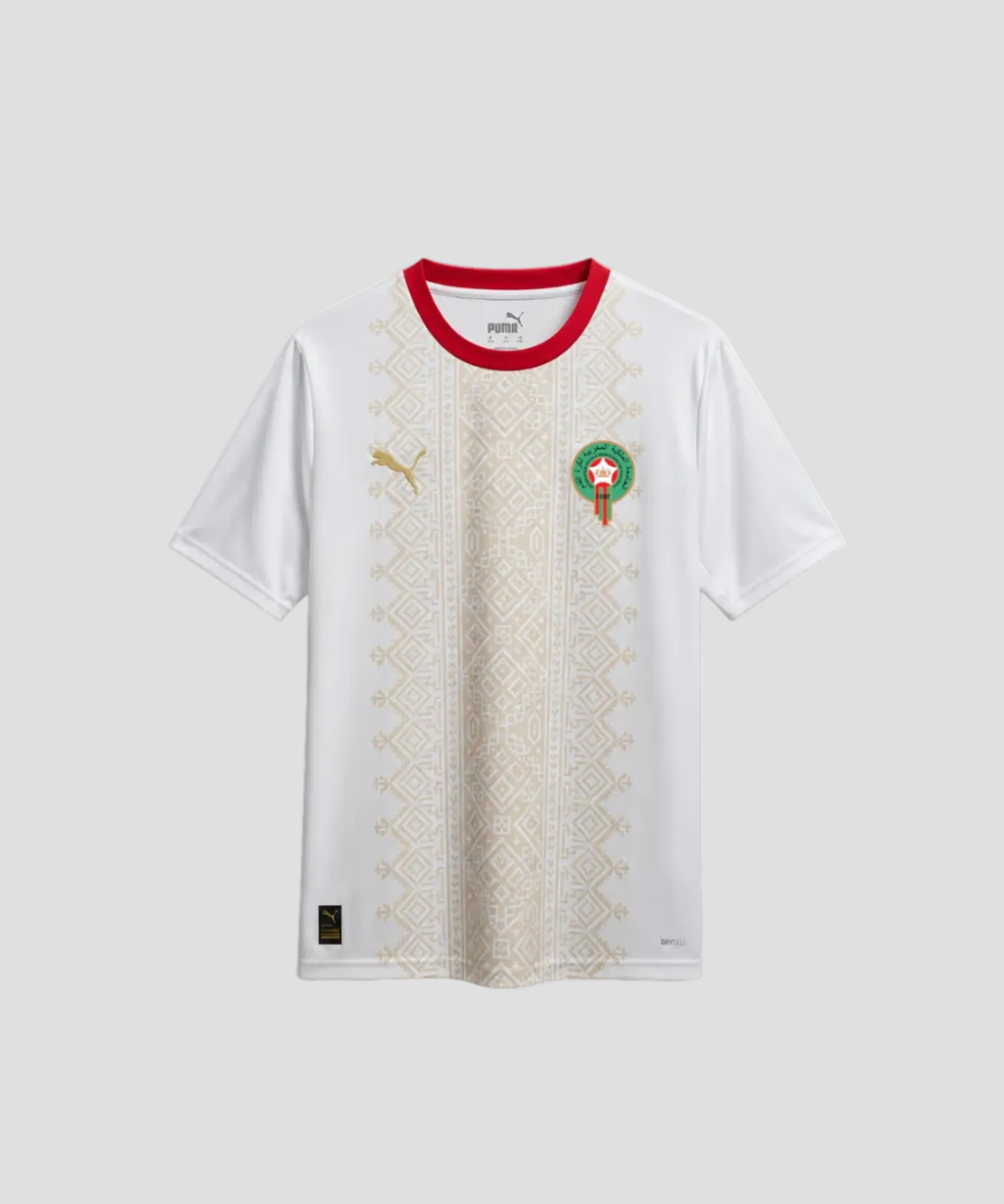 fanjersey-1.png